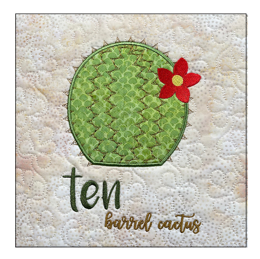 Twelve Days of Christmas - Southwest - Machine Embroidery